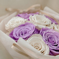 頂級厄瓜多永生玫瑰花束．杏紫色_2