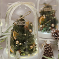 [聖誕/祝賀] 雪暮綠永生聖誕樹花盅