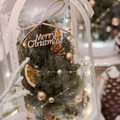 [聖誕/祝賀] 雪暮綠永生聖誕樹花盅_3