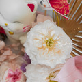 【新春花禮】 柔貴開運・招財貓永生花禮_3