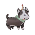 生日帽狗狗鋁箔氣球系列_2