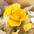 暖陽花語永生玫瑰花束_5
