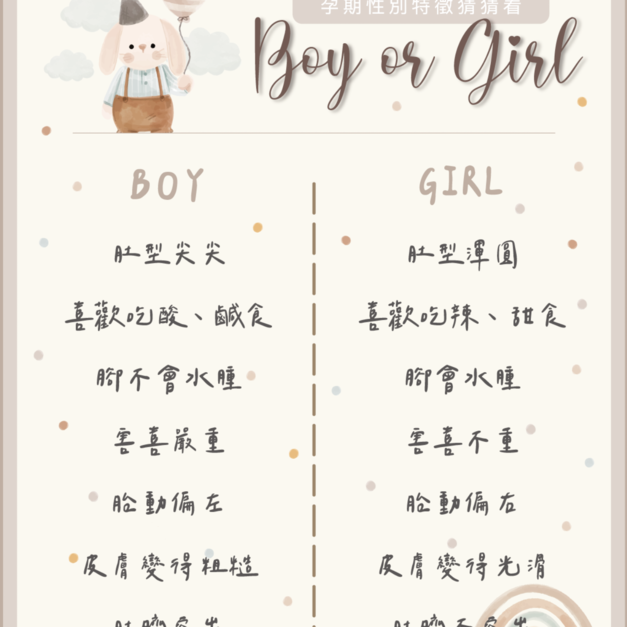 加購孕期特徵圈圈板[奶油狗狗] +NT300