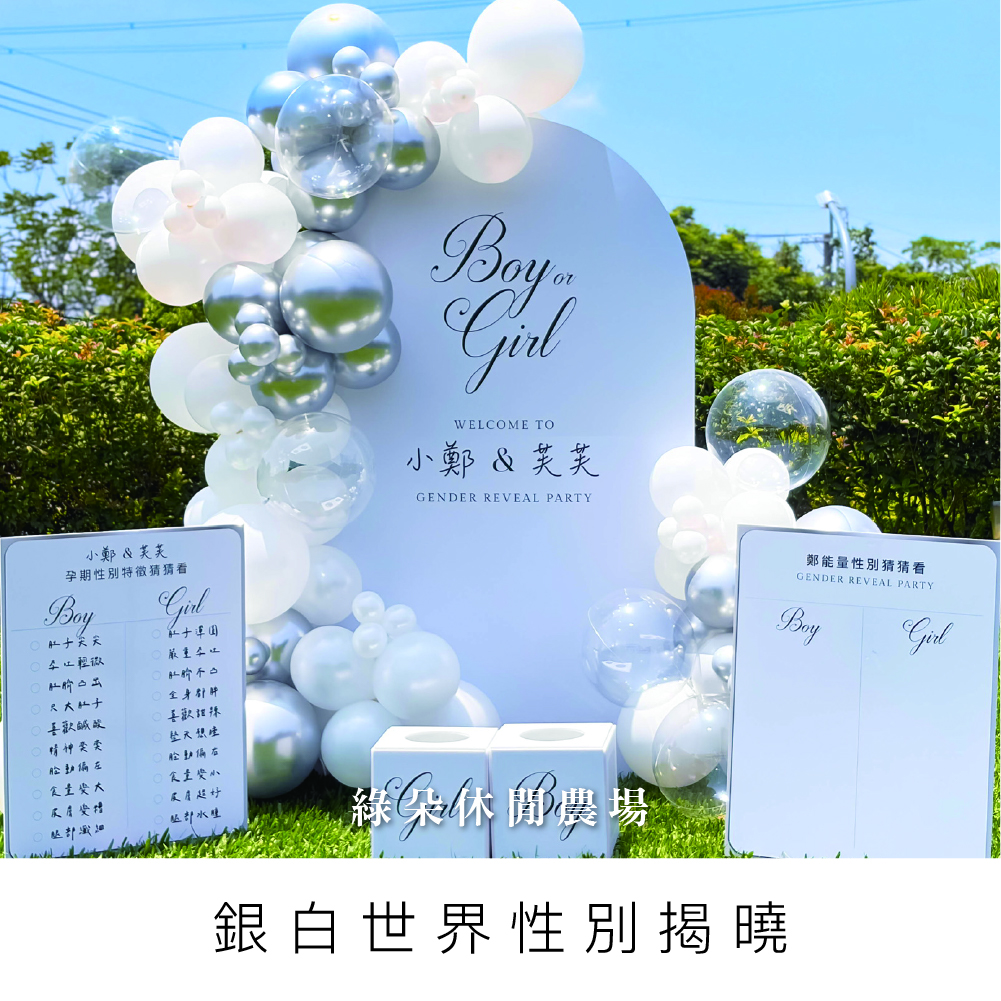 銀白世界性別揭曉