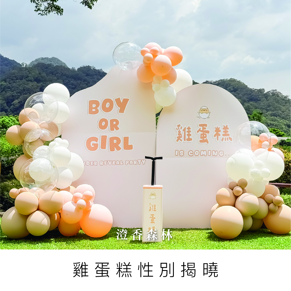 雞蛋糕性別揭曉
