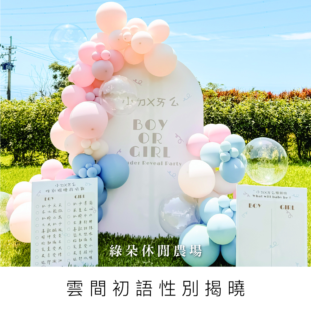 雲間初語性別揭曉