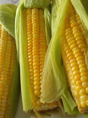 有機甜玉米(Corn)1200g