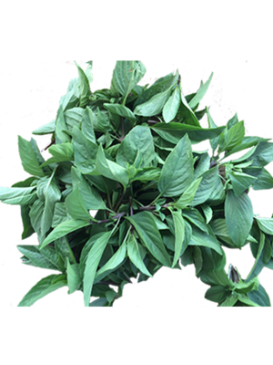 ★園外夫人/雅歌園有機九層塔35g、農場鮮採直送、有機蔬果、辛香料