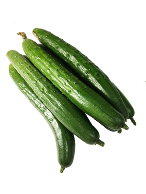 有機小黃瓜600g (cucumber) ，鮮脆可口 產地直送