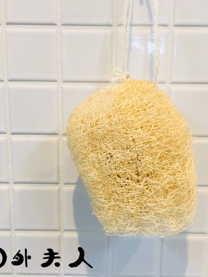 天然無染絲瓜絡(菜瓜布)