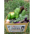 ♡小確幸有機蔬果箱♡★有機農場直送★_1