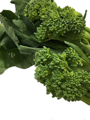 有機青花筍600g(Brocollini／ブロッコリーニ)