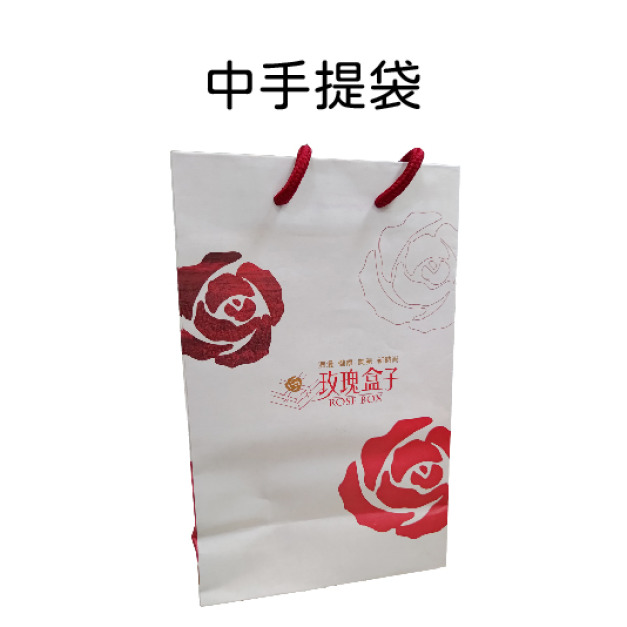 中手提袋(17.5*9.5*28)