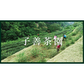 子善茶園