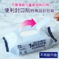 [日本LEC]激落君Cleanpa廁所清潔用防菌濕紙巾大尺寸20抽/包(泰國產/庫存限量)_3