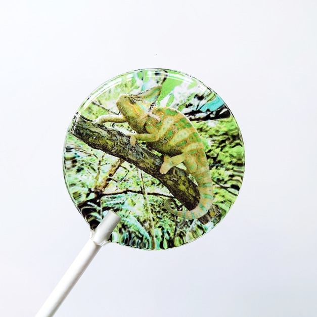 創意棒棒糖 - 變色龍