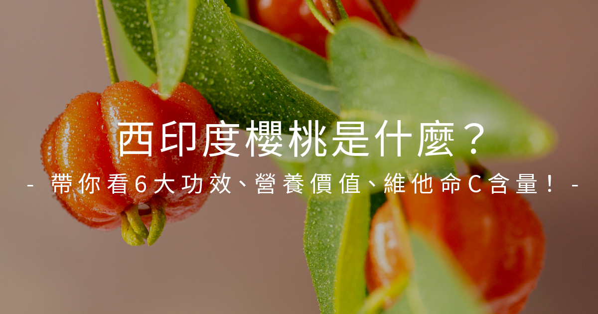 西印度櫻桃是什麼？6大功效、維他命C含量、吃法全攻略！