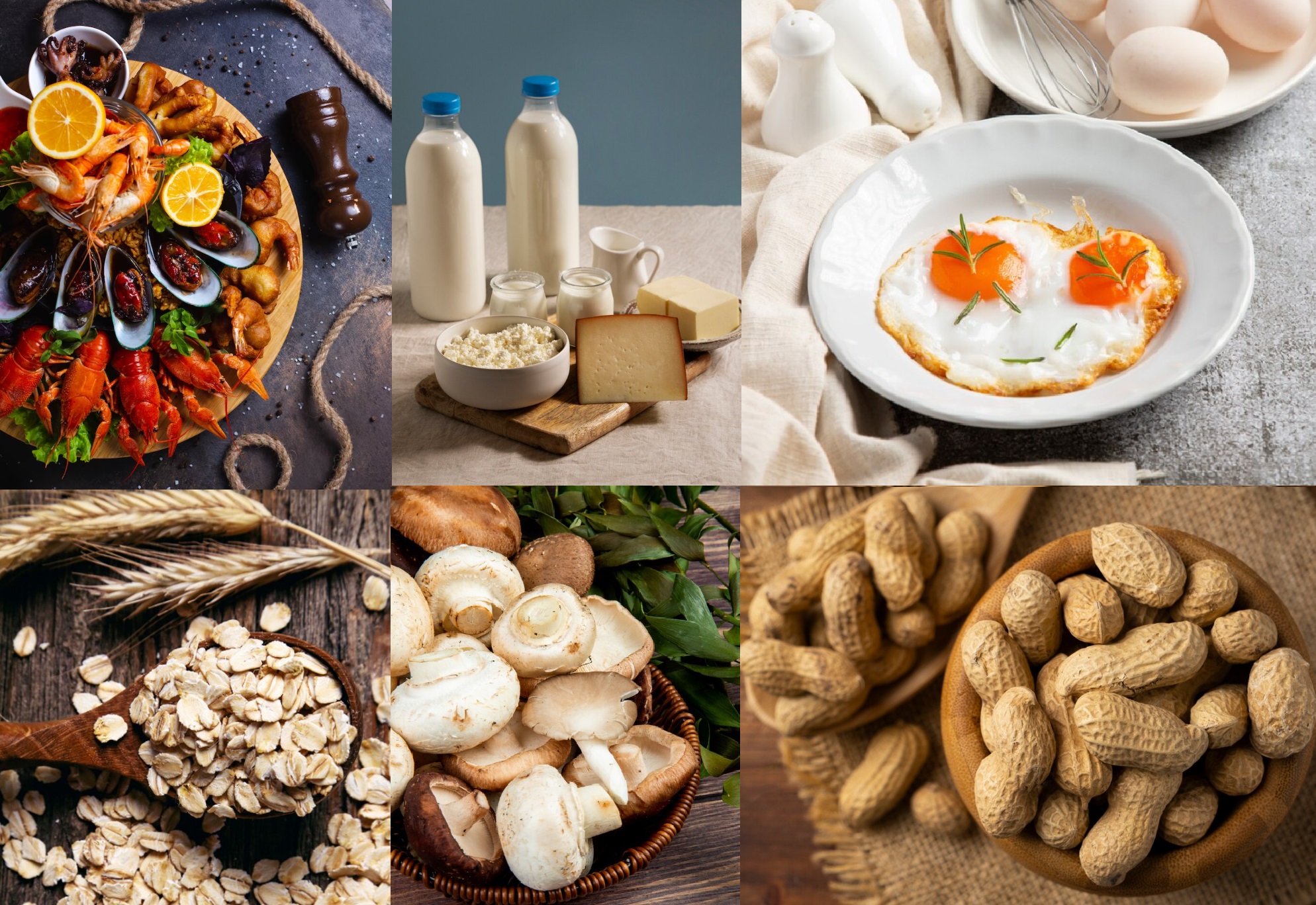 幫助落髮再生 含養足量的生物素 生物素又稱為生物素H或維生素B7，缺髮生物素會造成掉髮 動物性食物來源：肝臟、海鮮、乳製品、熟雞蛋；植物性食物來源:花生、燕麥、蘑菇