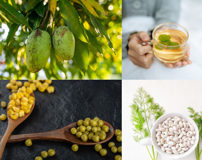 減重保健，像是白腎豆、非洲芒果籽、兒茶素、甲殼素、藤黃果、柑橘與瓜拿納、咖啡因等主打體態調控的成分