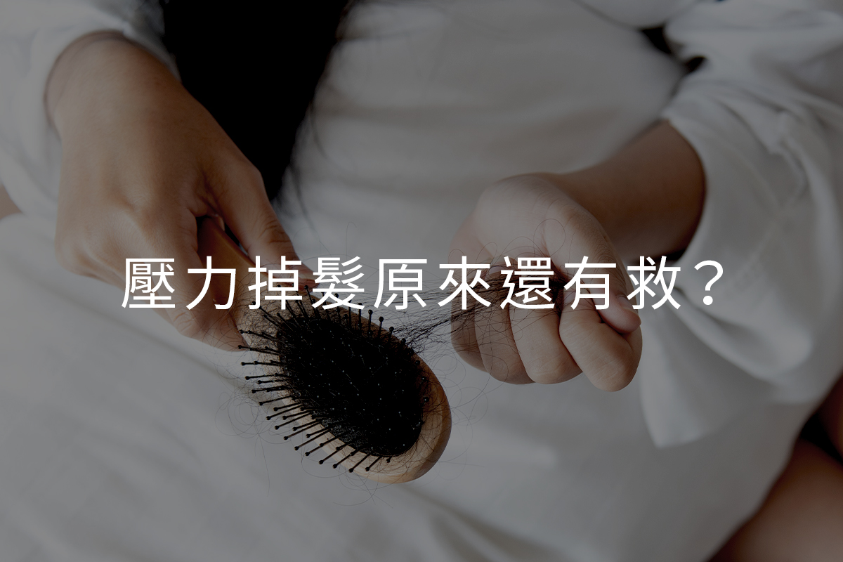 壓力掉髮原來還有救?