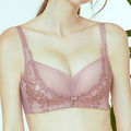 艾波迷亞甜蜜巴黎蠶絲無鋼圈內衣(限量款)(8008)_5