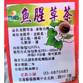 NEW 熱銷 防護之冠~ 魚腥草茶(25入)_1