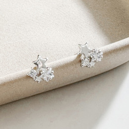 滿天星 ‧ 純銀耳環