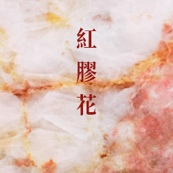 紅膠花
