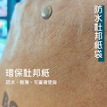 【BONum】輕量簡便防水手提杜邦紙袋 便當袋 購物袋_2