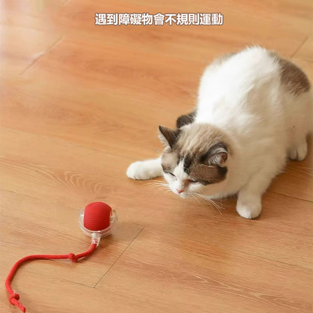【BONum】升級版變速自動滾跑逗貓球充電款(選兩件五折)