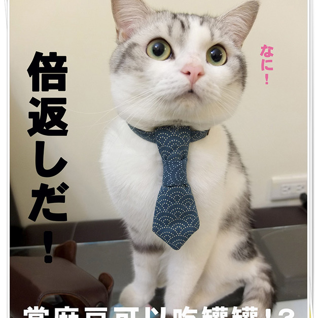 【青海波】系列