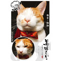 【星宿】系列_1