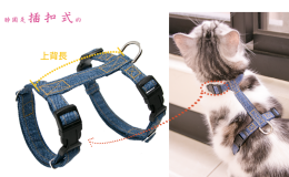 【幼幼貓-H型胸背帶】專為幼幼貓量身訂製