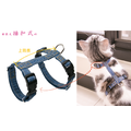 【H型胸背帶-插扣式】成貓到巨貓都可訂製_5