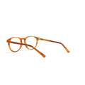 經典大鏡框│焦糖色眼鏡│5068 - C3_2