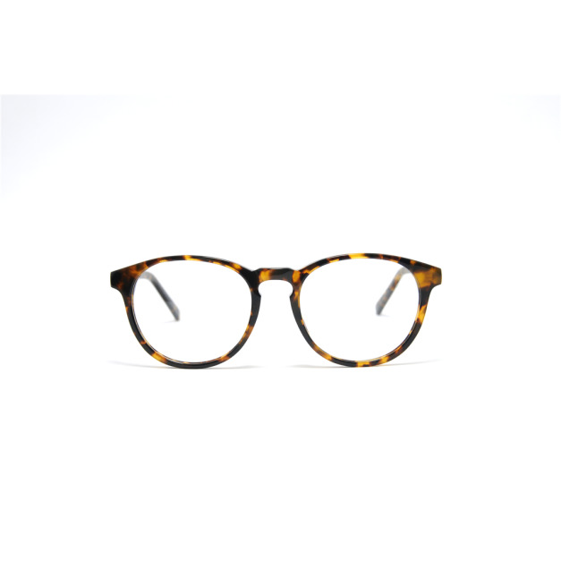 經典大鏡框│玳瑁色眼鏡│5068 - C2