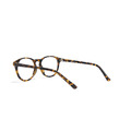 經典大鏡框│玳瑁色眼鏡│5068 - C2_3