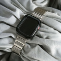 APPLE WATCH - 線型鈦金屬 蘋果錶帶_2