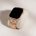 Apple Watch｜微光質感 不鏽鋼錶帶_7