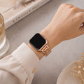 Apple watch - 精緻光感鈦金屬 蘋果專用錶帶_1