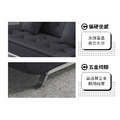 艾薇拉升級款｜虎抓皮沙發床-墨黑色_5