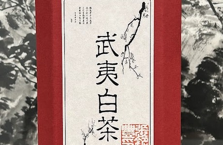 野放武夷白茶-2024冬茶