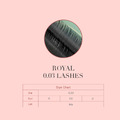 Royal 0.03 Volume Lashes_1