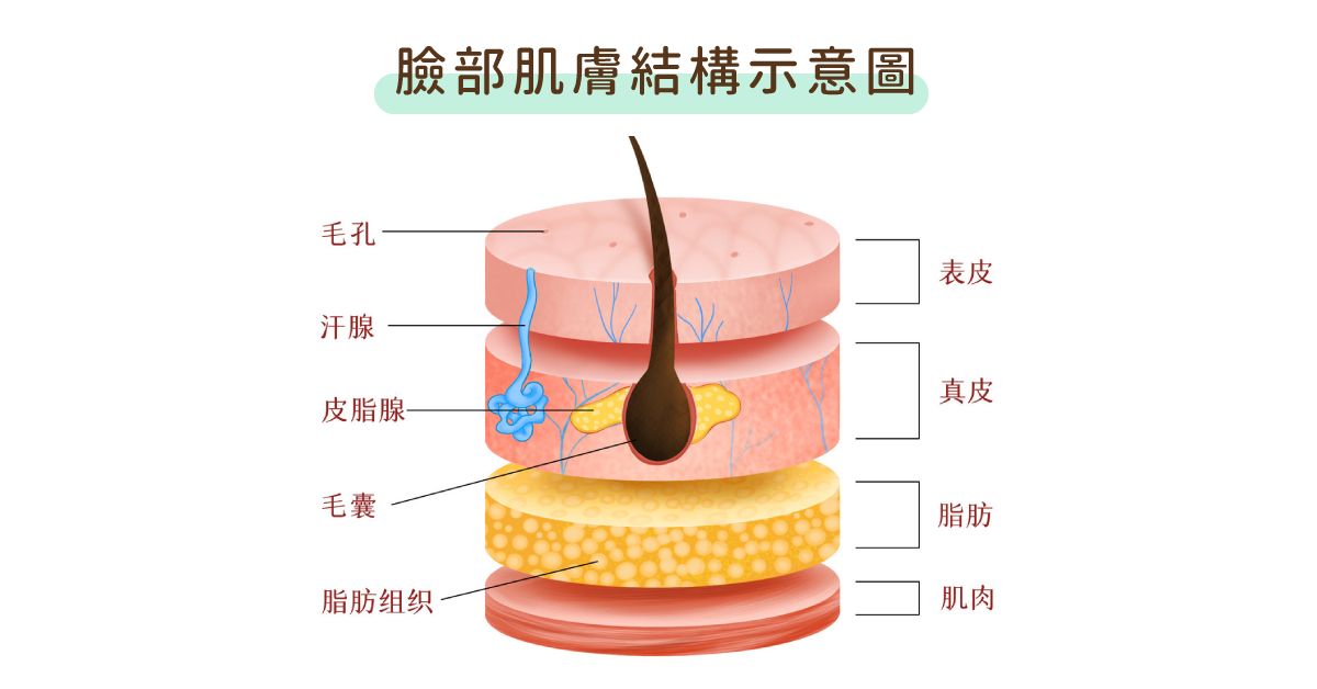 卸妝油粉刺