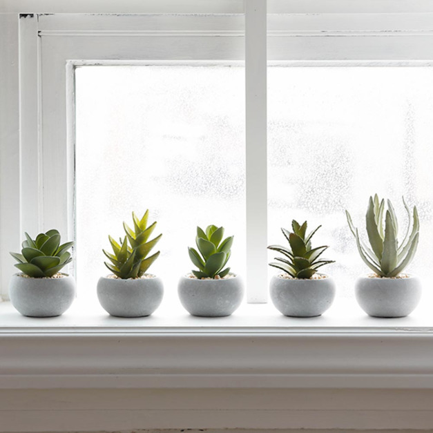米尼仿真多肉植物