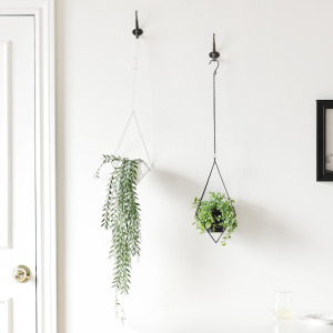 伊登植物吊盆-幾何