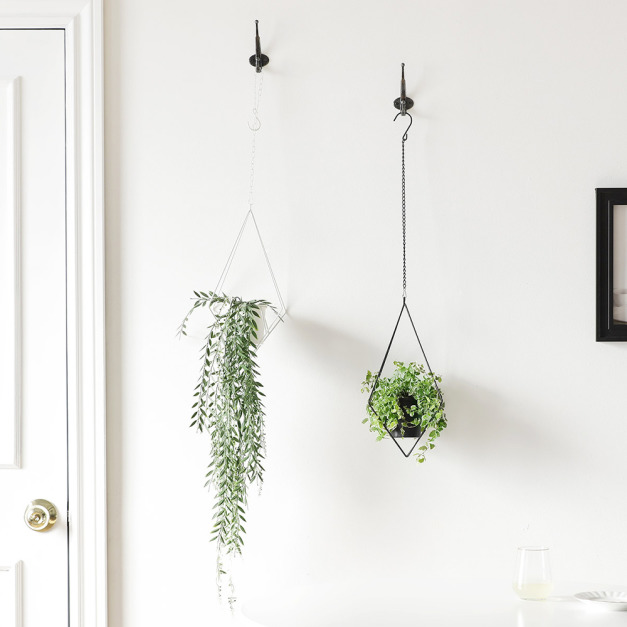 VIP-伊登植物吊盆-幾何