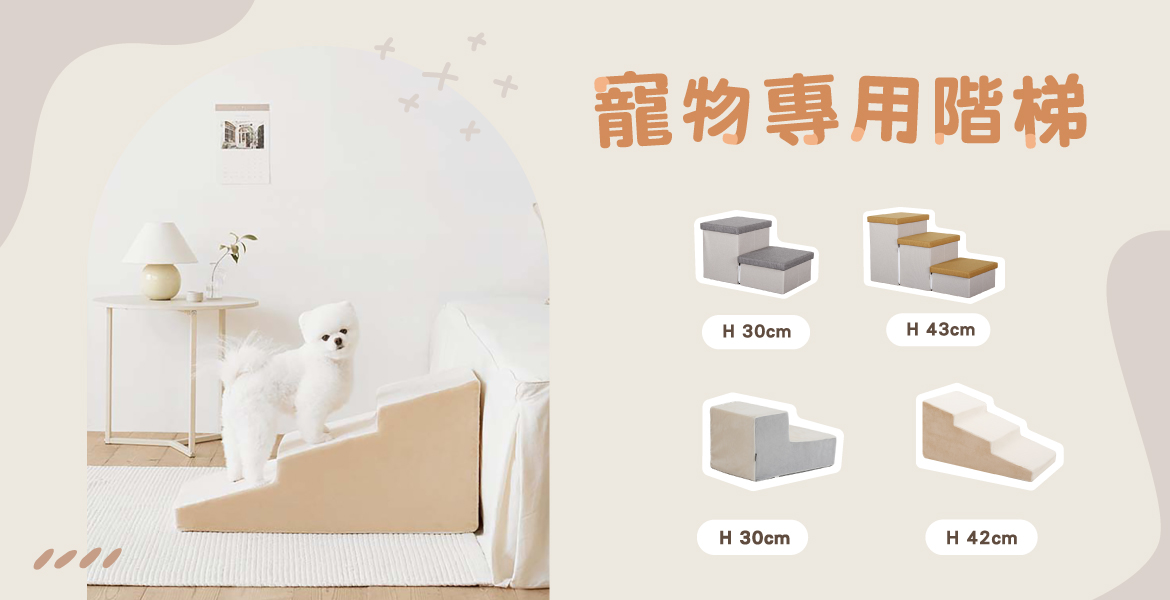 毛孩專用樓梯