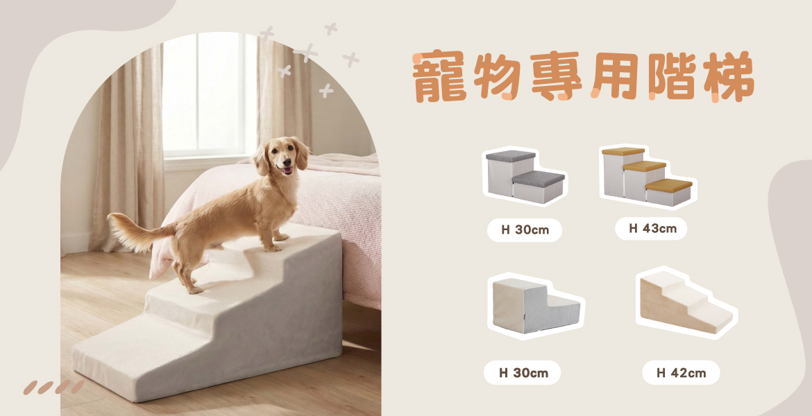 毛孩專用樓梯