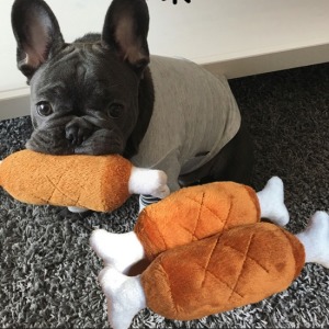 狗狗最愛雞腿骨-DoubleBear